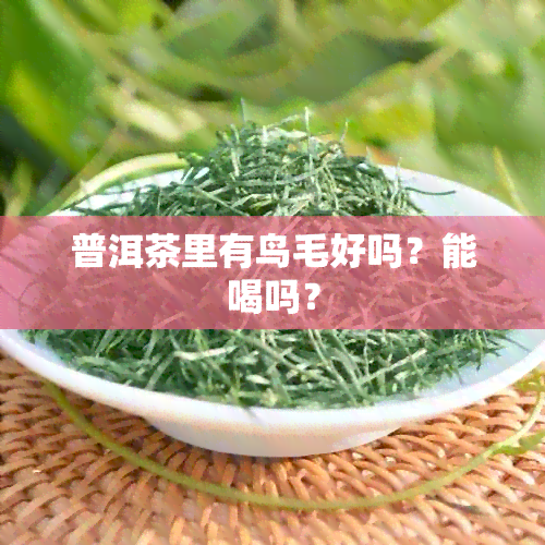 普洱茶里有鸟毛好吗？能喝吗？