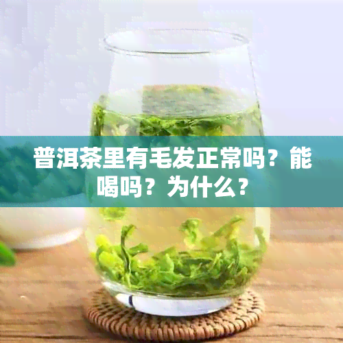 普洱茶里有毛发正常吗？能喝吗？为什么？