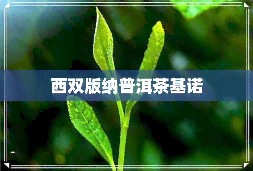 西双版纳普洱茶基诺