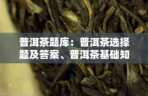 普洱茶题库：普洱茶选择题及答案、普洱茶基础知识试题和普洱茶知识问答