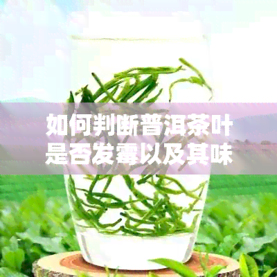 如何判断普洱茶叶是否发霉以及其味道变化？