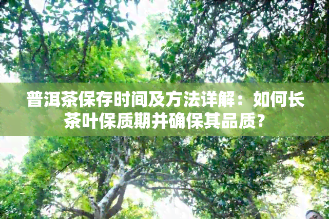 普洱茶保存时间及方法详解：如何长茶叶保质期并确保其品质？