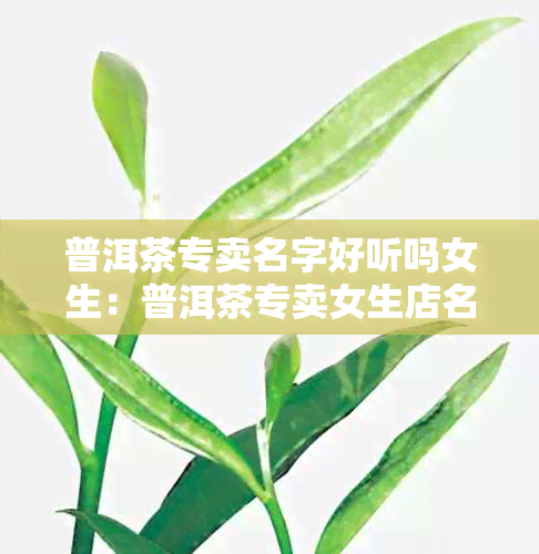 普洱茶专卖名字好听吗女生：普洱茶专卖女生店名，好听又吸引人！