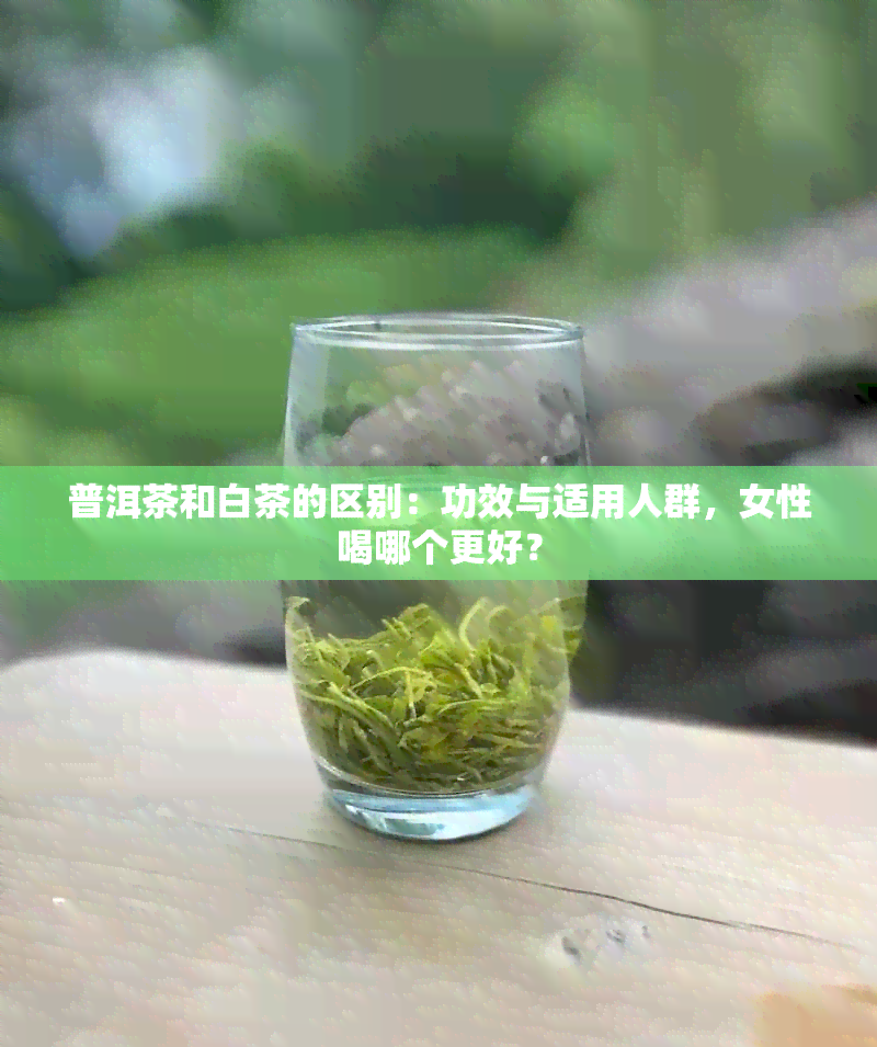 普洱茶和白茶的区别：功效与适用人群，女性喝哪个更好？