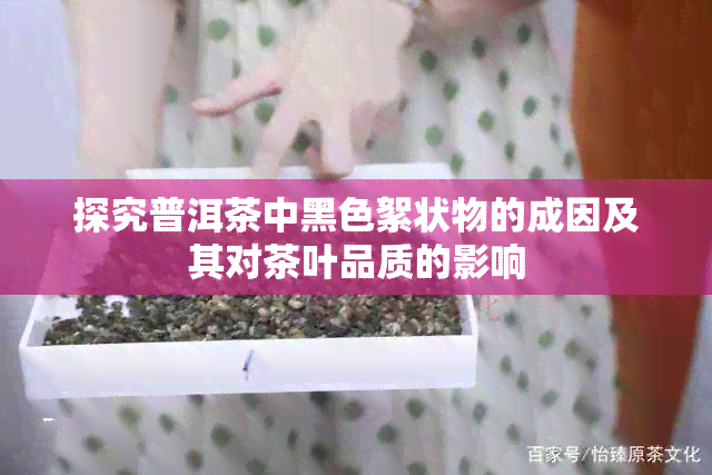 探究普洱茶中黑色絮状物的成因及其对茶叶品质的影响