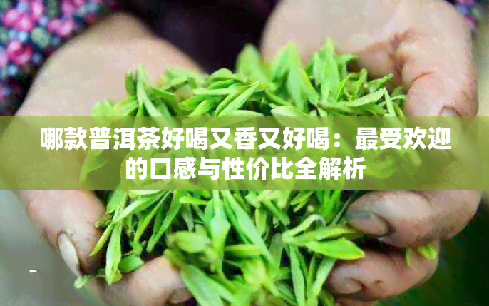 哪款普洱茶好喝又香又好喝：更受欢迎的口感与性价比全解析