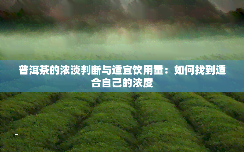 普洱茶的浓淡判断与适宜饮用量：如何找到适合自己的浓度