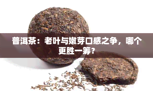 普洱茶：老叶与嫩芽口感之争，哪个更胜一筹？