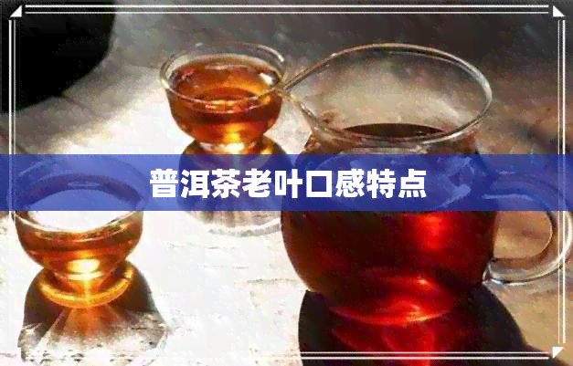 普洱茶老叶口感特点