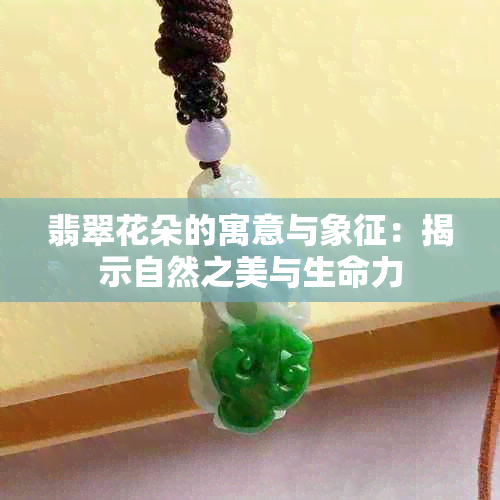 翡翠花朵的寓意与象征：揭示自然之美与生命力