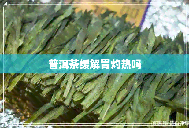 普洱茶缓解胃灼热吗