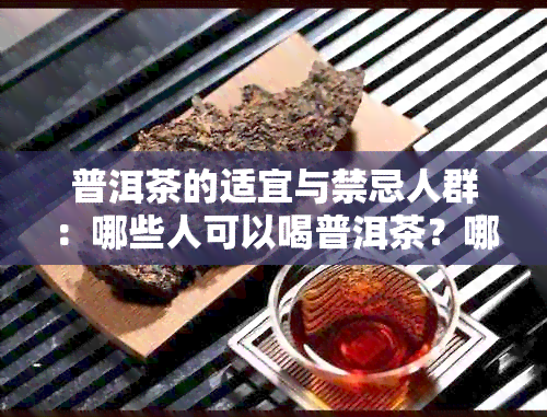 普洱茶的适宜与禁忌人群：哪些人可以喝普洱茶？哪些人应该避免饮用？