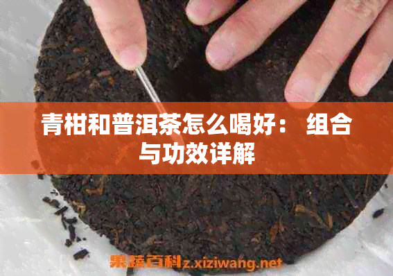 青柑和普洱茶怎么喝好： 组合与功效详解