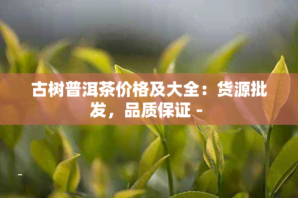 古树普洱茶价格及大全：货源批发，品质保证 - 