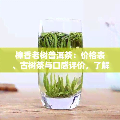 樟香老树普洱茶：价格表、古树茶与口感评价，了解樟香普洱茶意义。