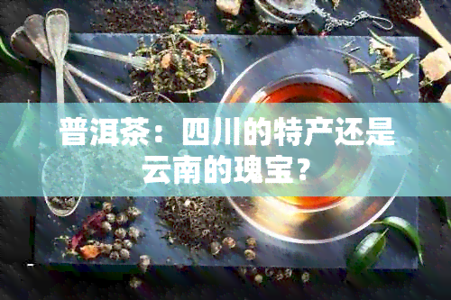 普洱茶：四川的特产还是云南的瑰宝？