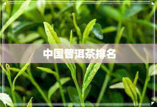 中国普洱茶排名