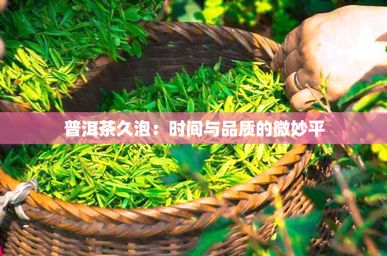 普洱茶久泡：时间与品质的微妙平