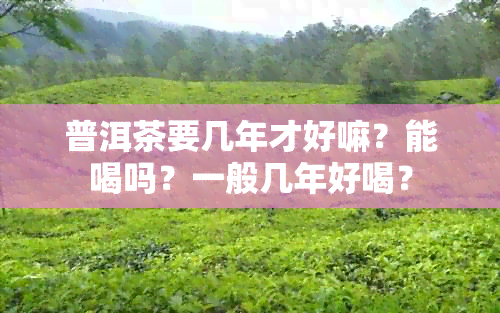 普洱茶要几年才好嘛？能喝吗？一般几年好喝？