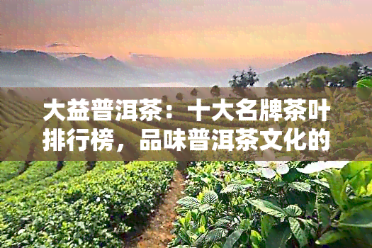 大益普洱茶：十大名牌茶叶排行榜，品味普洱茶文化的独特魅力