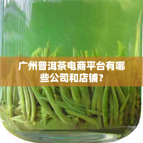 广州普洱茶电商平台有哪些公司和店铺？