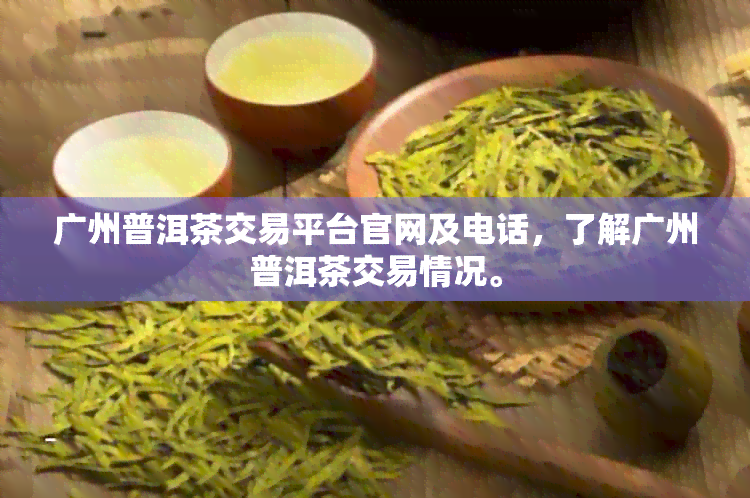 广州普洱茶交易平台官网及电话，了解广州普洱茶交易情况。