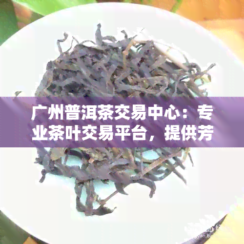 广州普洱茶交易中心：专业茶叶交易平台，提供芳村市场批发价与优质普洱茶