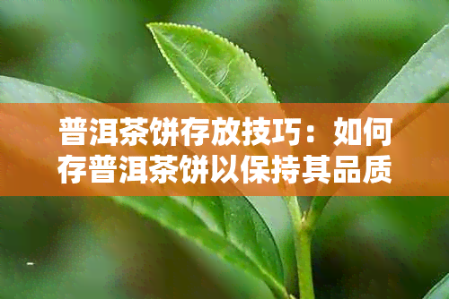 普洱茶饼存放技巧：如何存普洱茶饼以保持其品质和风味？