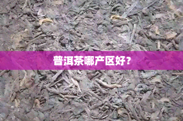 普洱茶哪产区好？