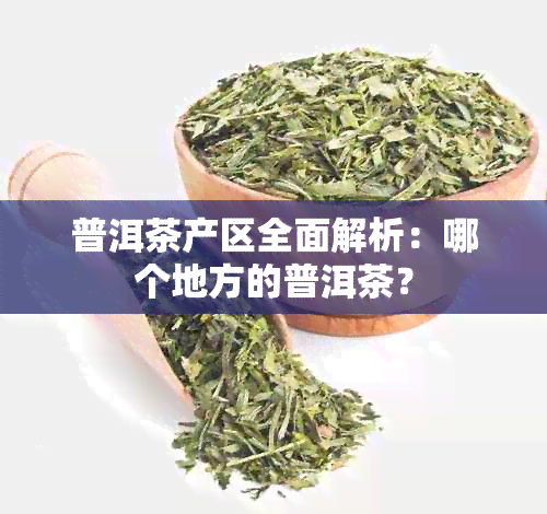 普洱茶产区全面解析：哪个地方的普洱茶？