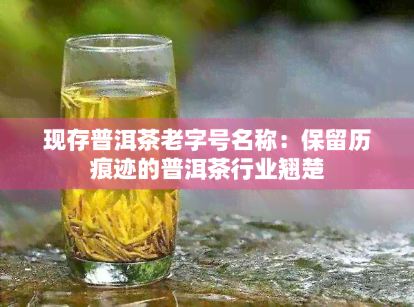 现存普洱茶老字号名称：保留历痕迹的普洱茶行业翘楚