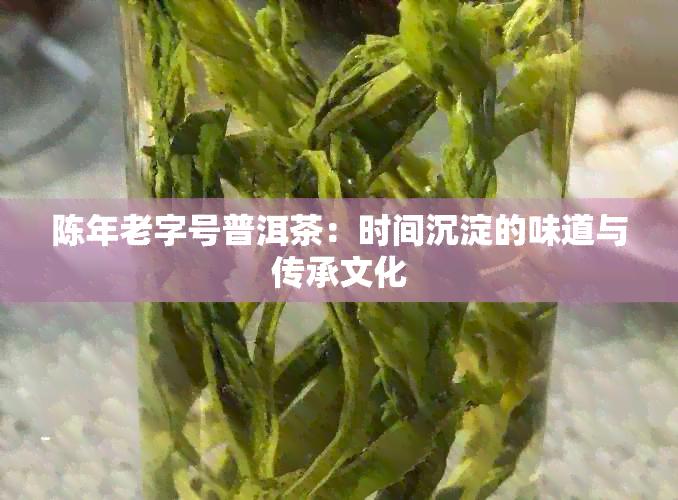 陈年老字号普洱茶：时间沉淀的味道与传承文化