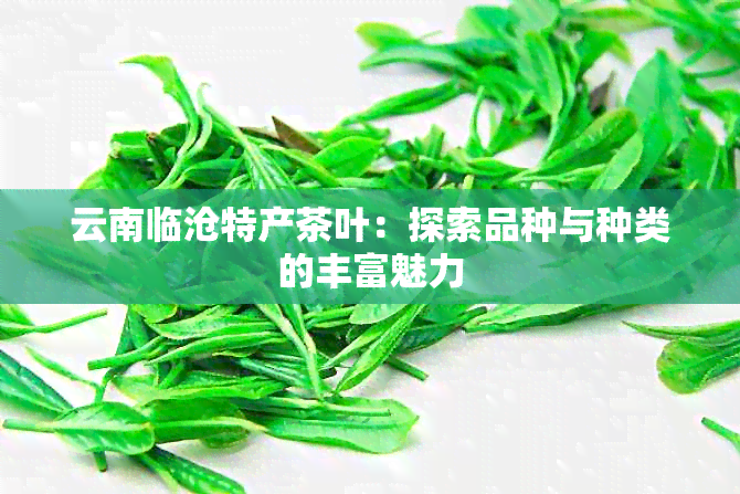 云南临沧特产茶叶：探索品种与种类的丰富魅力