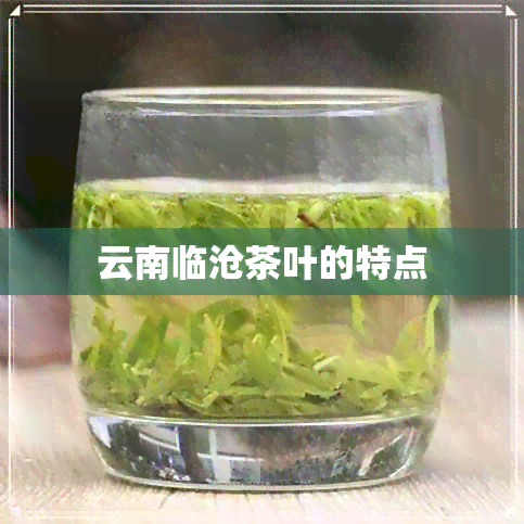 云南临沧茶叶的特点