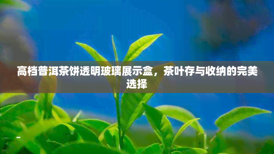 高档普洱茶饼透明玻璃展示盒，茶叶存与收纳的完美选择