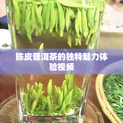 陈皮普洱茶的独特魅力体验视频