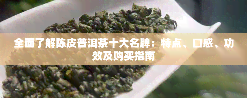 全面了解陈皮普洱茶十大名牌：特点、口感、功效及购买指南