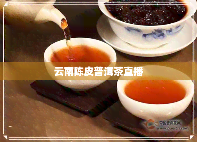 云南陈皮普洱茶直播