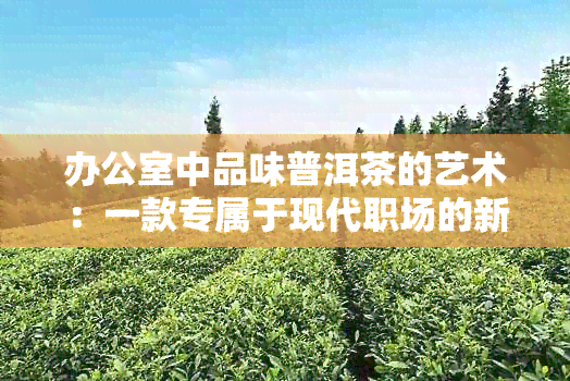 中品味普洱茶的艺术：一款专属于现代职场的新式冲泡方式