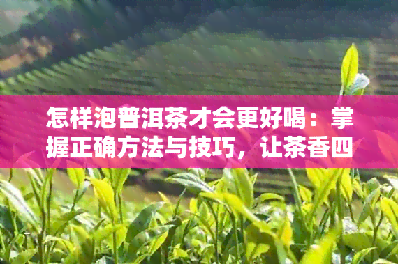 怎样泡普洱茶才会更好喝：掌握正确方法与技巧，让茶香四溢