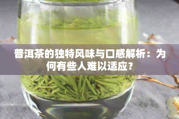 普洱茶的独特风味与口感解析：为何有些人难以适应？