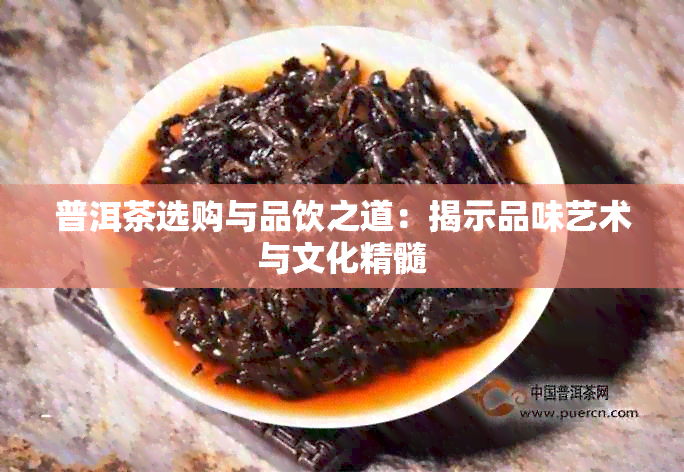 普洱茶选购与品饮之道：揭示品味艺术与文化精髓