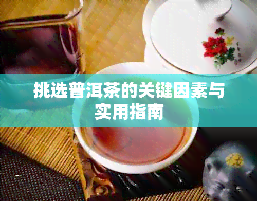 挑选普洱茶的关键因素与实用指南