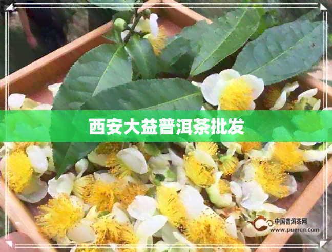 西安大益普洱茶批发