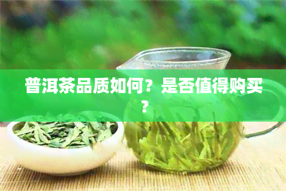 普洱茶品质如何？是否值得购买？