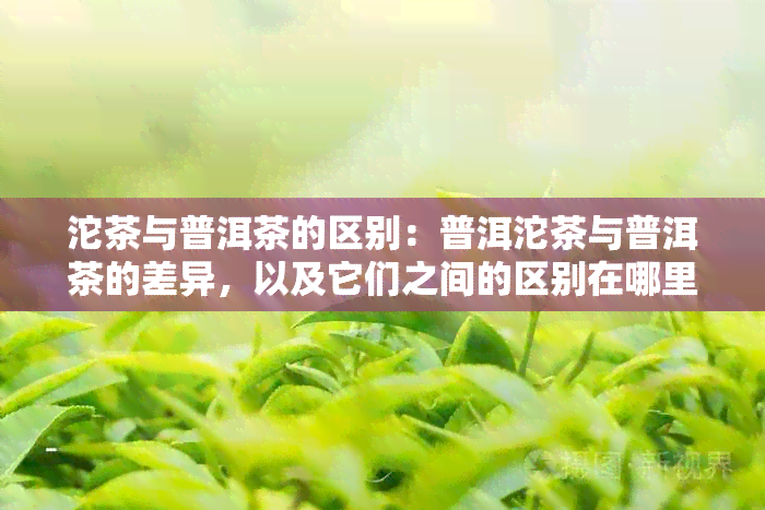 沱茶与普洱茶的区别：普洱沱茶与普洱茶的差异，以及它们之间的区别在哪里？