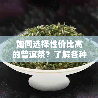 如何选择性价比高的普洱茶？了解各种类型及品质特点助你一臂之力