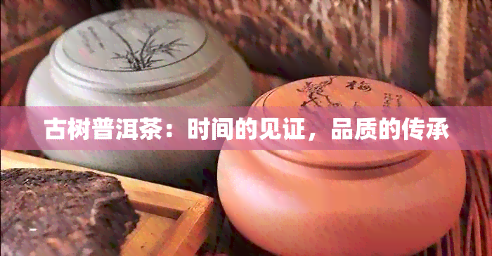 古树普洱茶：时间的见证，品质的传承