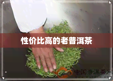 性价比高的老普洱茶