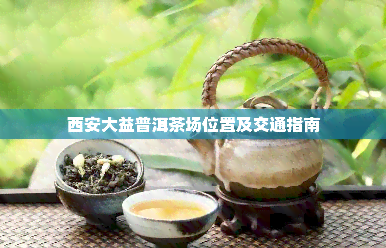 西安大益普洱茶场位置及交通指南